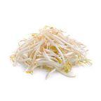 Sprouted Bean