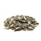 High grade Vegetable Sunflower Seeds For Oil / Sunflower seeds kernels