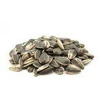 Sunflower Seeds