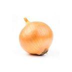 Onion