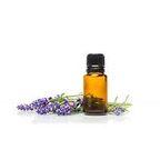 Lavender Oil