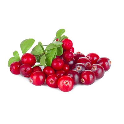 Lingonberry