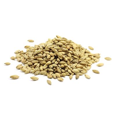 Barley Malt