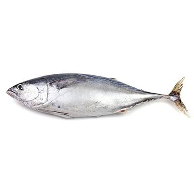 Skipjack and Yellowfin Tuna Lead Portugal's Azores Seafood Trade in W30