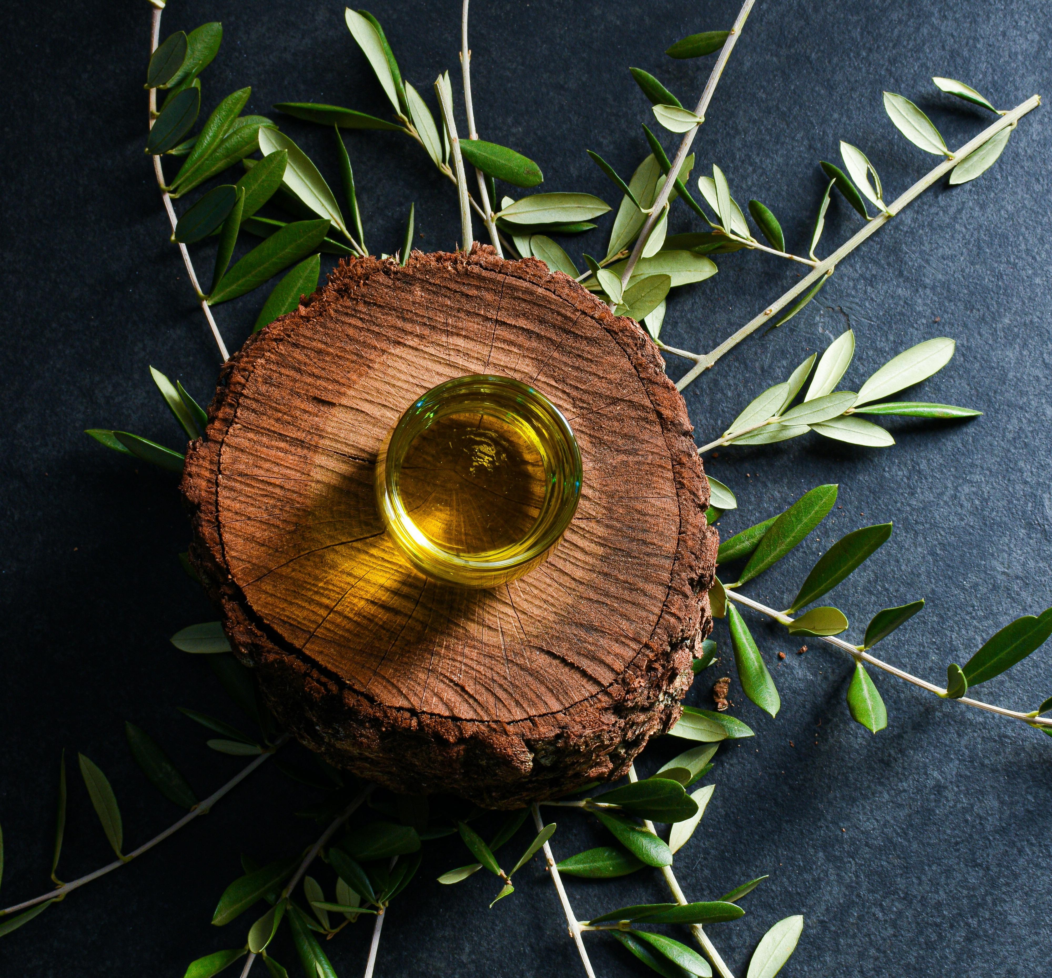 Navigating Growth and Challenges of the Olive Oil Industry and its Oil Alternatives