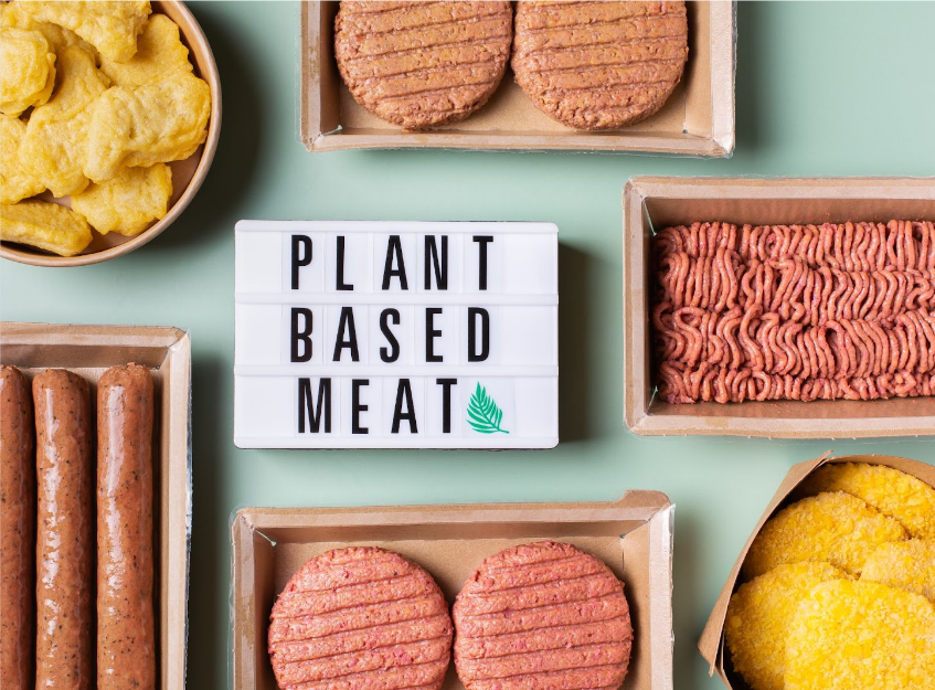 Analysis and Market Entry Recommendations for Plant-Based Meat Alternatives In Europe: 2023