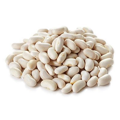 Egypt Witnesses a 25% Surge in White Bean Prices in Jan-24 Due to High Export Demand