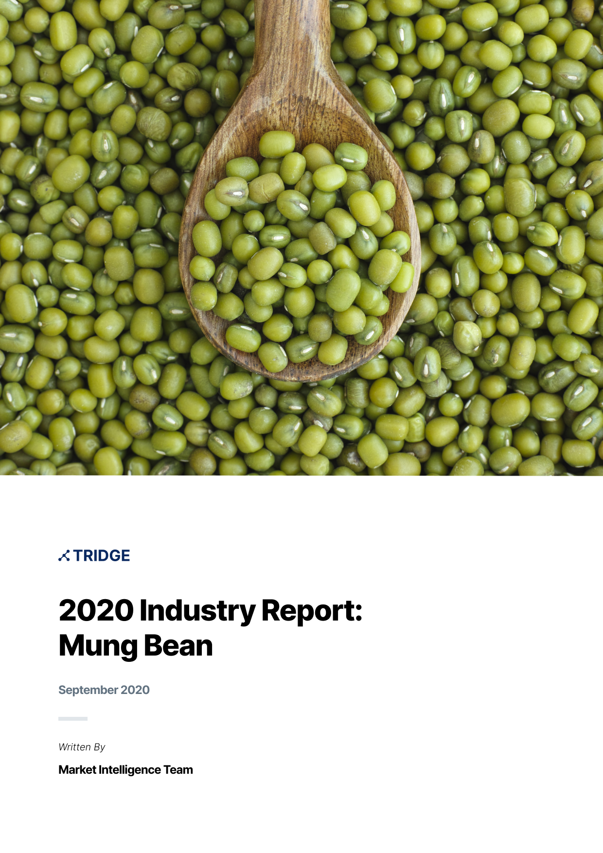 Mungbean Market Report