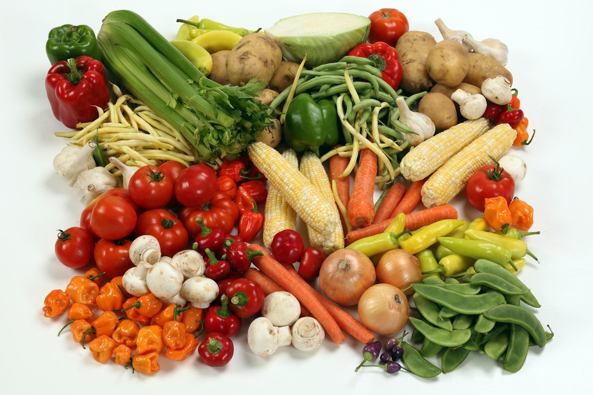 April 2025 Outlook Report: Vegetables