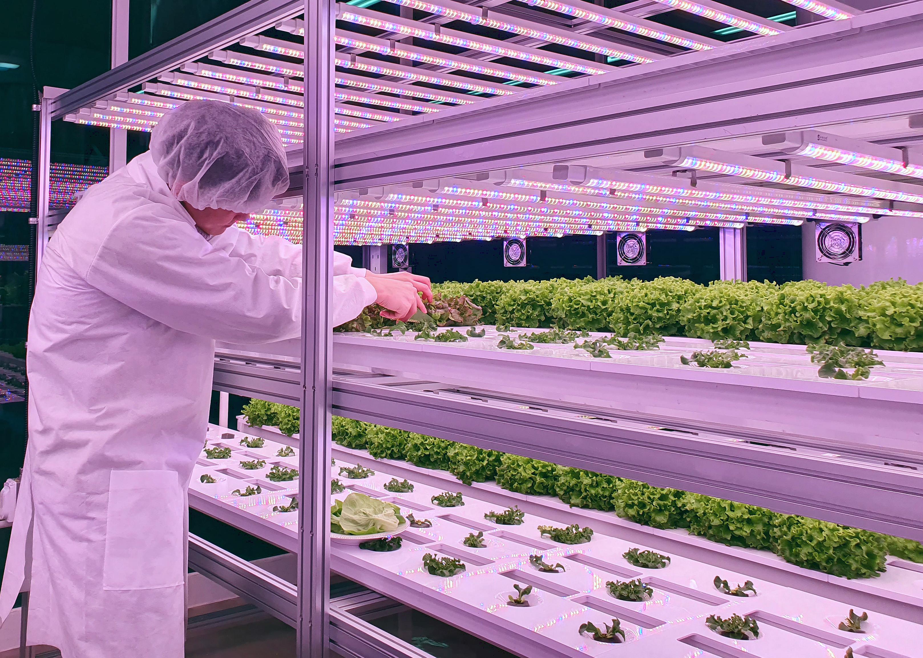 Vertical Farming Overview