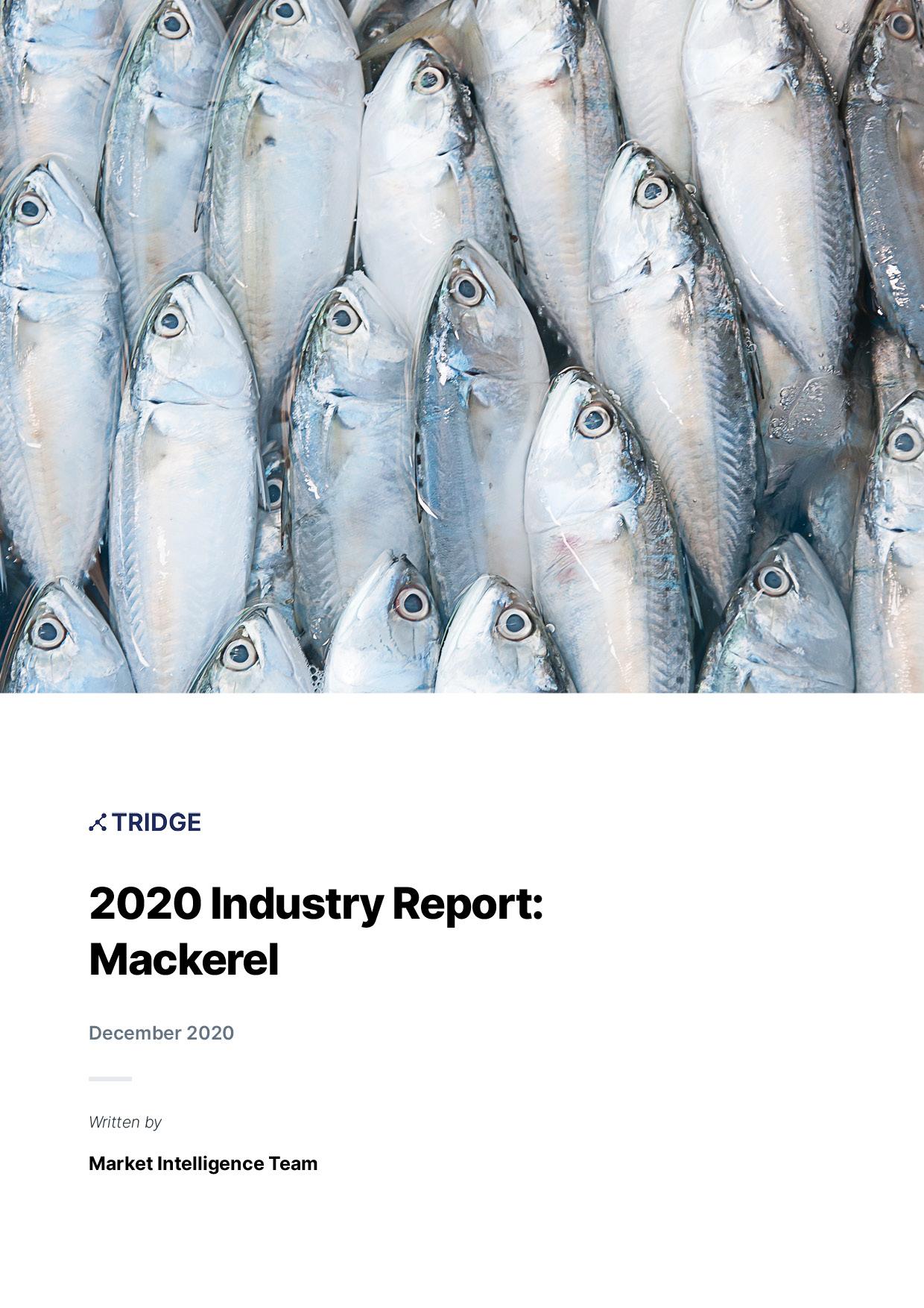 Mackerel Market Report