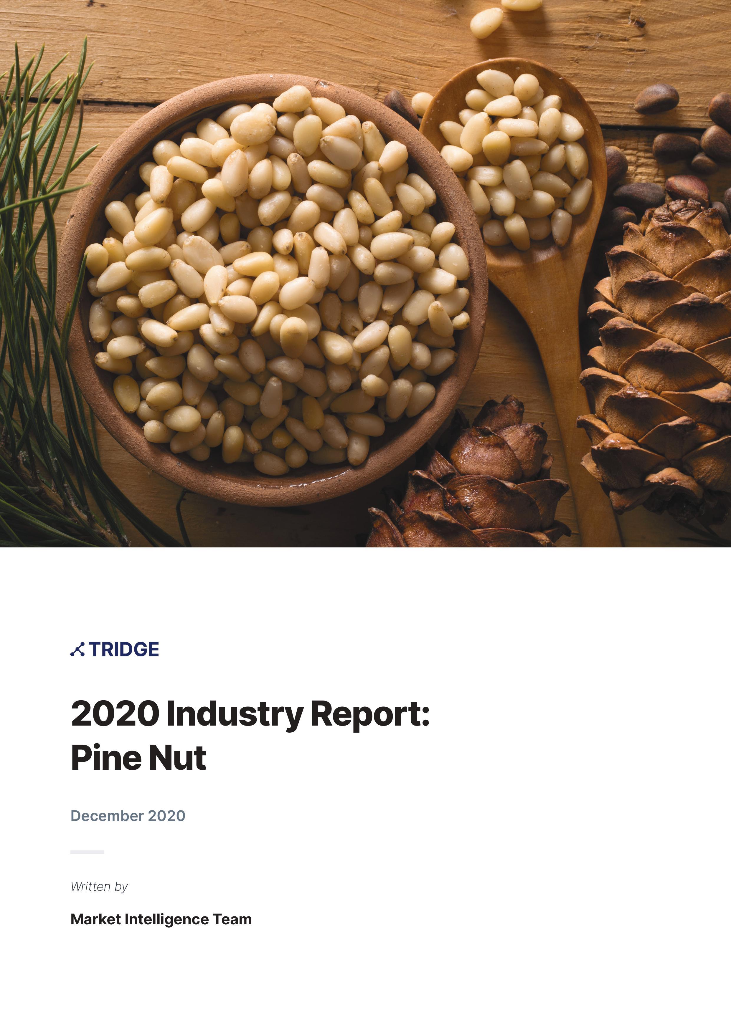 Pine Nut Market Report