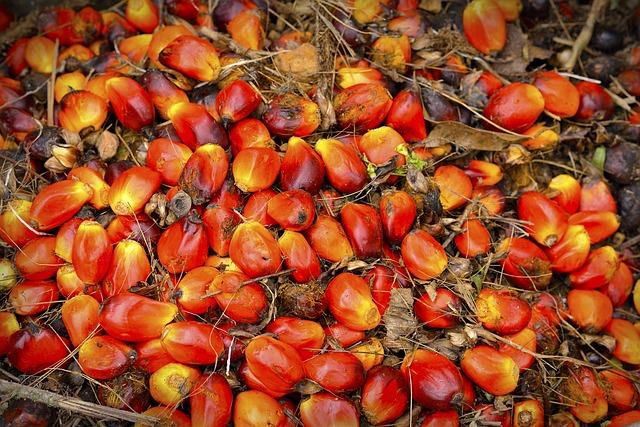 W15 2025: Palm Oil Weekly Update