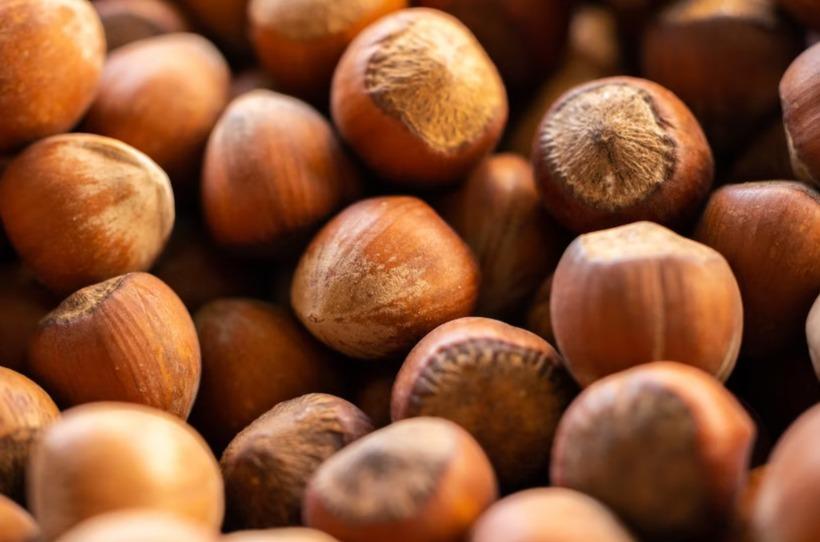 W6 Hazelnut Update: Türkiye's Hazelnut Exports to EU Surge by 33% from Sep-23 to Jan-24, Climate Change Threatens to Decrease Türkiye Yields, and Georgia Expects Strong Hazelnut Harvest in 2024 Supported by Price Increase