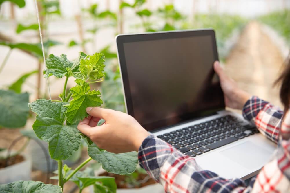 Webinar Recap: Digitizing Agriculture: A Guide to Enhancing Traceability