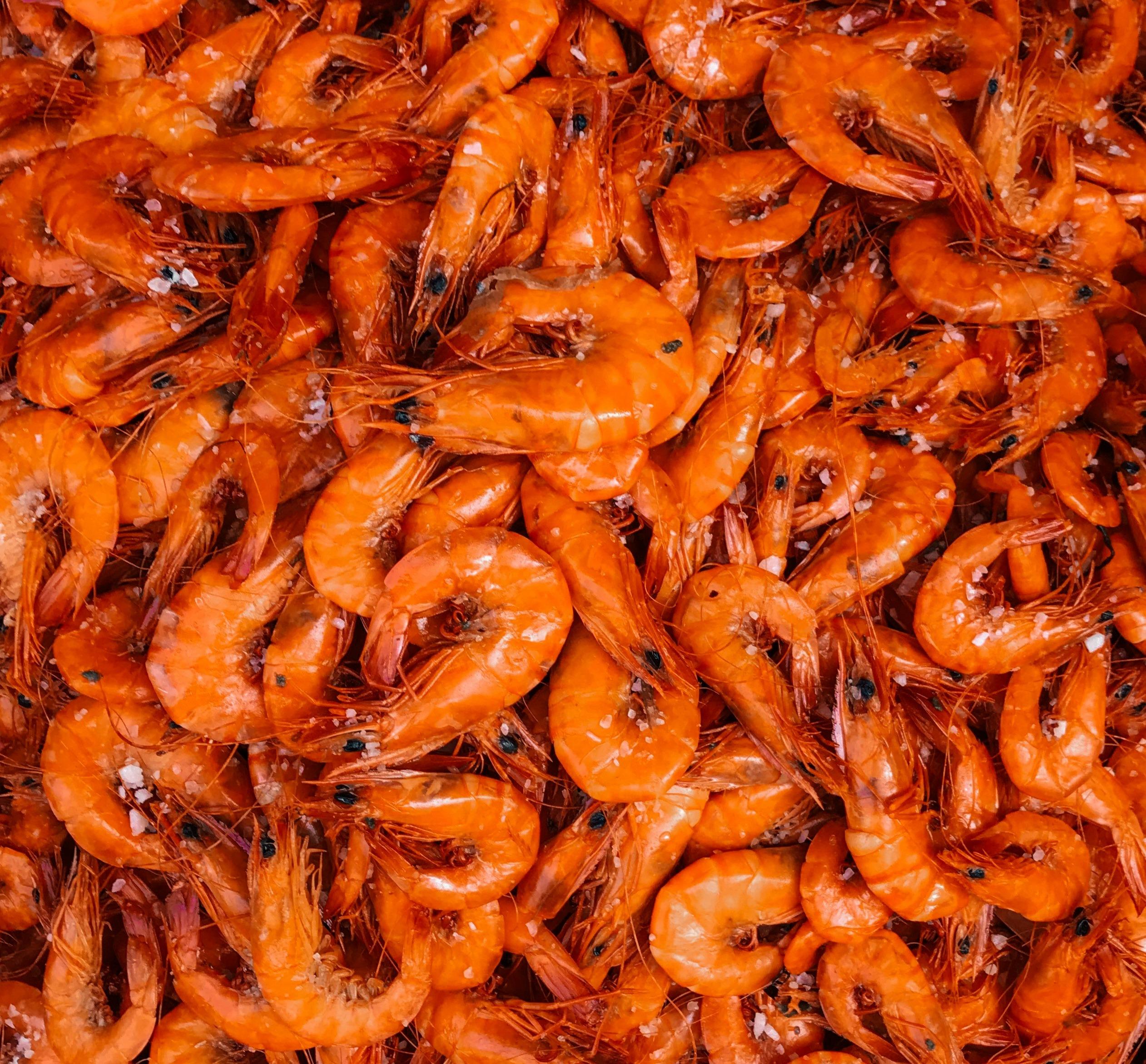 The Ecuadorian Shrimp Industry Confronts Price Pressures in 2023 and Forecasts Strategies for 2024