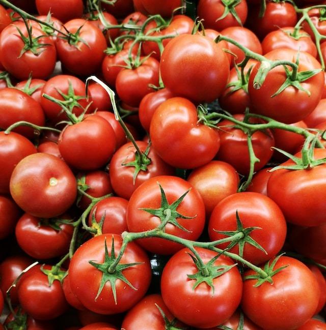 W15 2025: Tomato Weekly Update