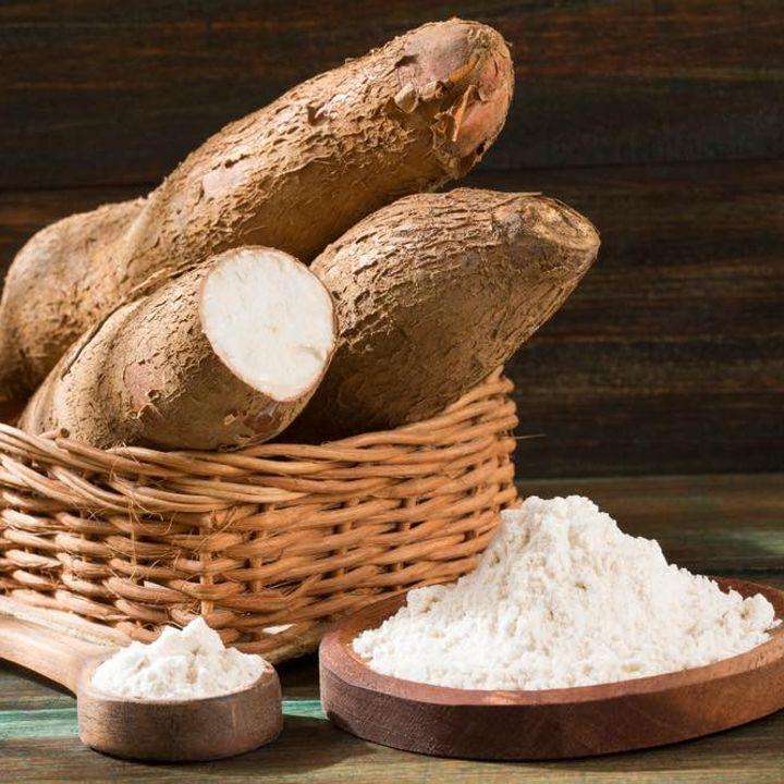 W14 Cassava Update: Vietnam’s Exports in Feb-24, Decreased Production in Brazil due to Good Friday Holiday, Increased Yields in Nigeria’s Benue State