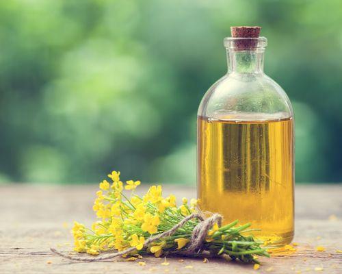 Canadian Canola Oil Market Guide