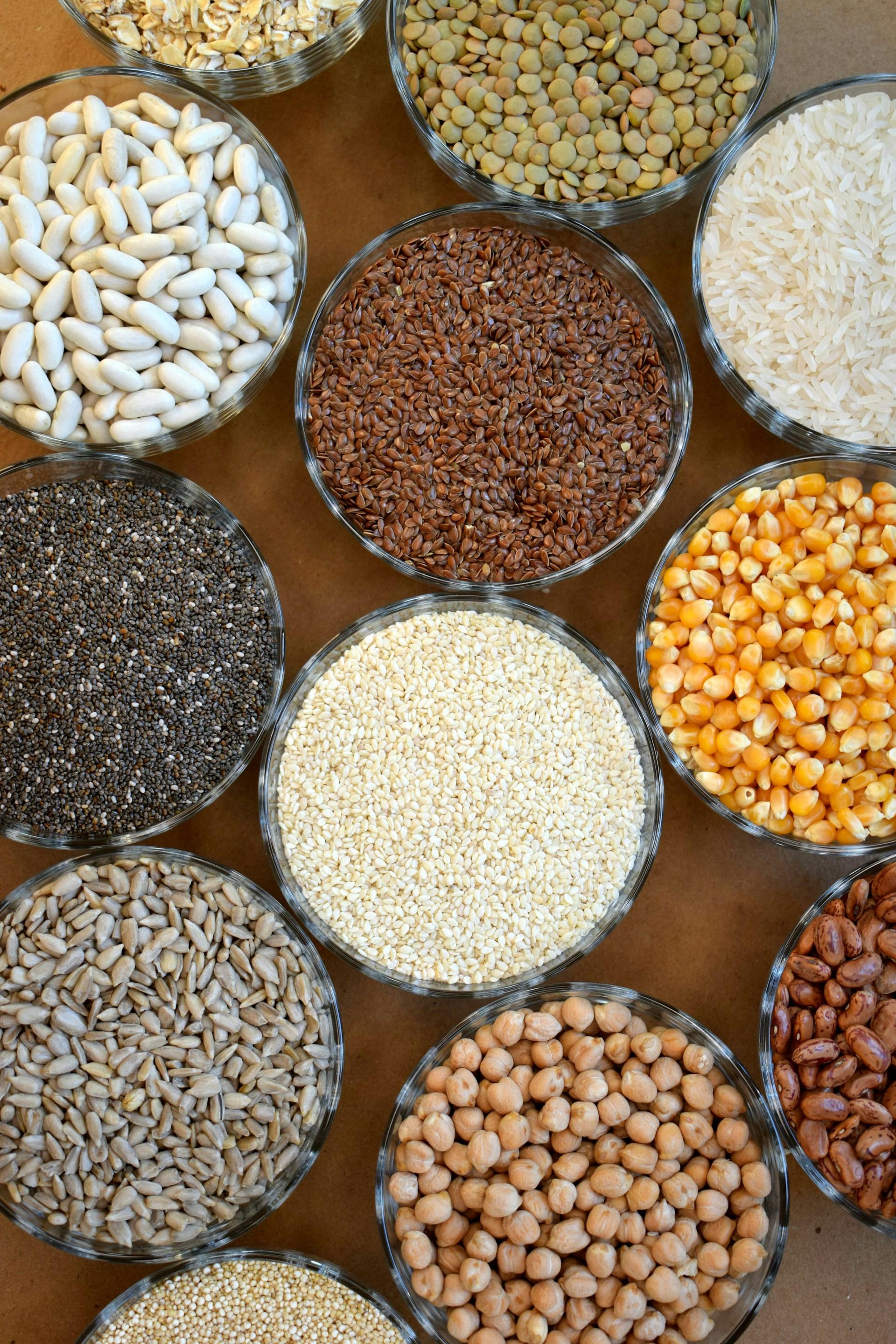 August 2025 Outlook Report: Grains