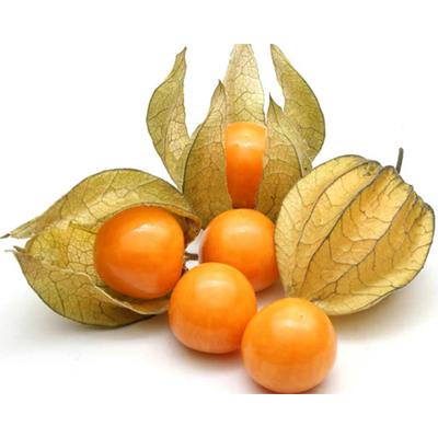 Colombian Physalis Exports Surge by 4.2% YoY in 2023