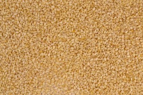 W5 Sesame Seed Update: Price Decline in China During W5, India Dominates South Korea Sesame Seed Tender, and EU's Sesame Seed Imports Surged by 18%  From Jan-23 to Nov-23