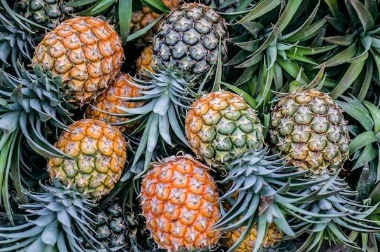 W4 Pineapple Update: Global Pineapple Exports Allegedly Increased by 4% and Imports Increased by 1% in 2023, and Costa Rica Still Leads the Global Pineapple Landscape