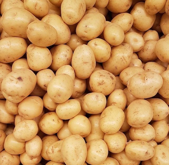 W17 Potato Update: India's Potato Prices Surged Due to Erratic Rainfall, Potato Planting Thrives in Russia's Bryansk Region, and Austria's Early Potato Planting and Climate Change Challenges