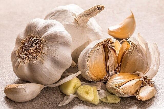 Intense Competition and High Prices Expected in Egypt's 2023/24 Garlic Season