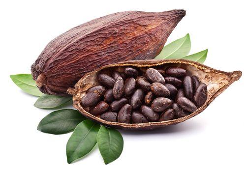 Cameroon Cocoa bean Guide