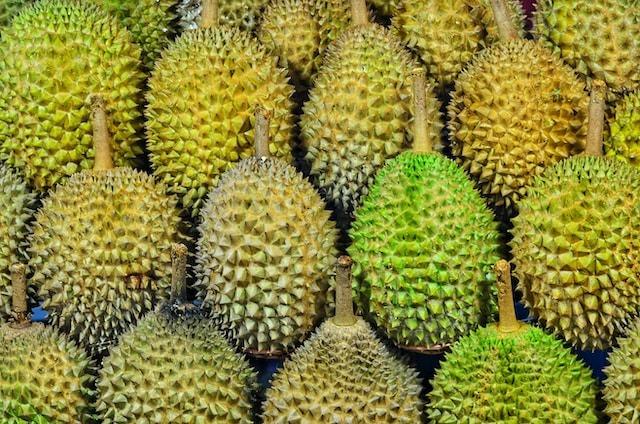 W14 Durian Update: Record High Durian Prices in Vietnam's Mekong Delta Amid Surge in Exports to China, and Durian Production Dropped From Jan-24 to Mar-24