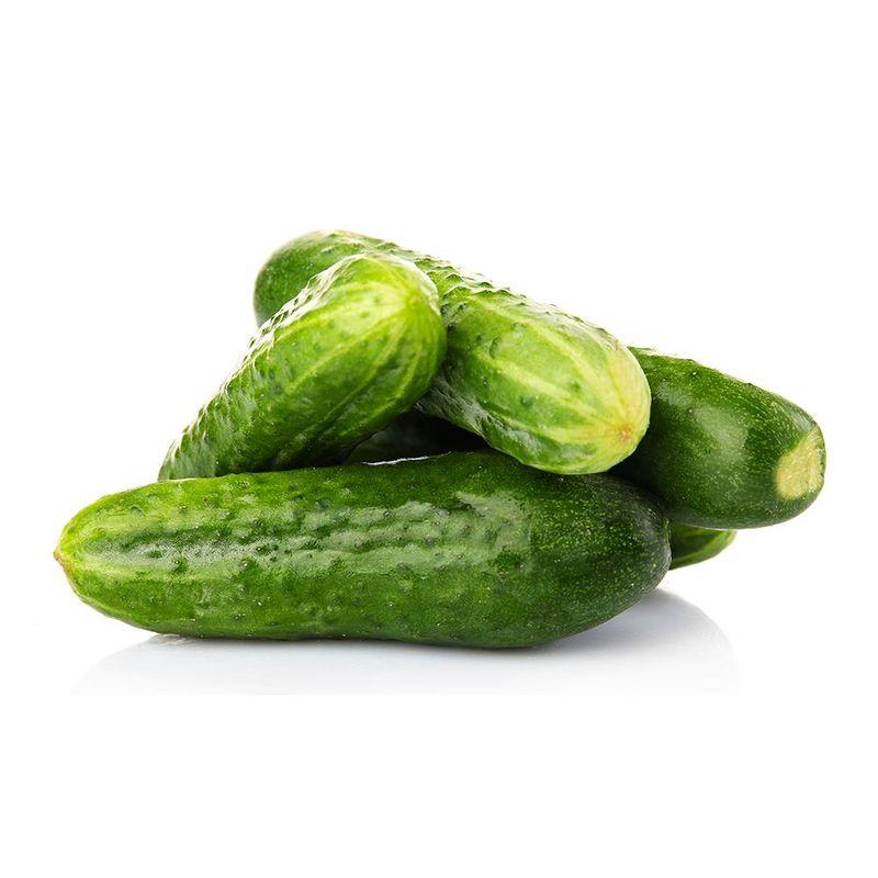 Cucumber Guide