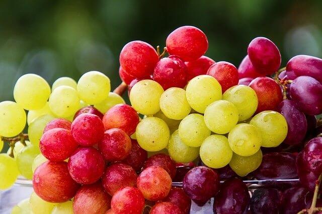 Prospects and Predictions for Mexico's Fresh Grape Market in 2024