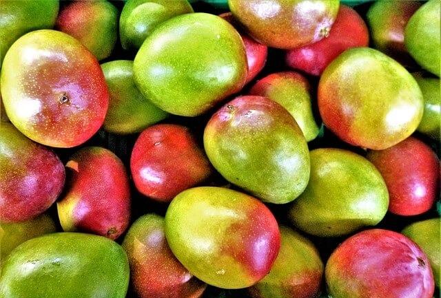 Challenges in Logistics Could Hinder Growth in Indian Mango Exports