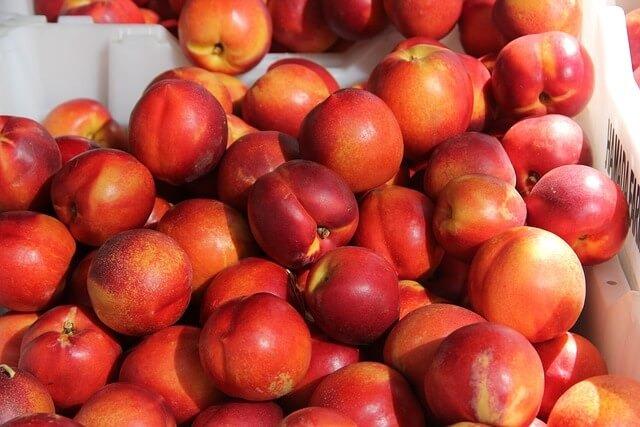 2024 Spanish Peach and Nectarine Harvest Returning to Normal