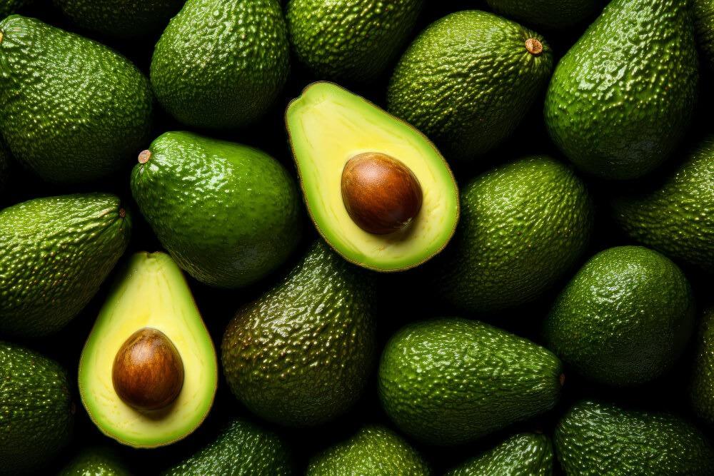 The Netherlands Remains a Central Hub for Avocado Trade and Distribution in Europe