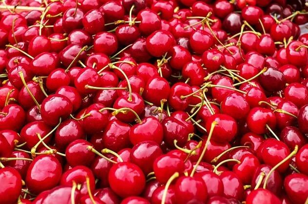 Chilean 2023/24 Cherry Season: Positive Outlook and Market Dynamics