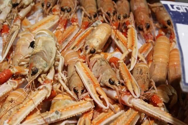 US Tariffs on Brazilian Seafood Ripple Through the Supply Chain