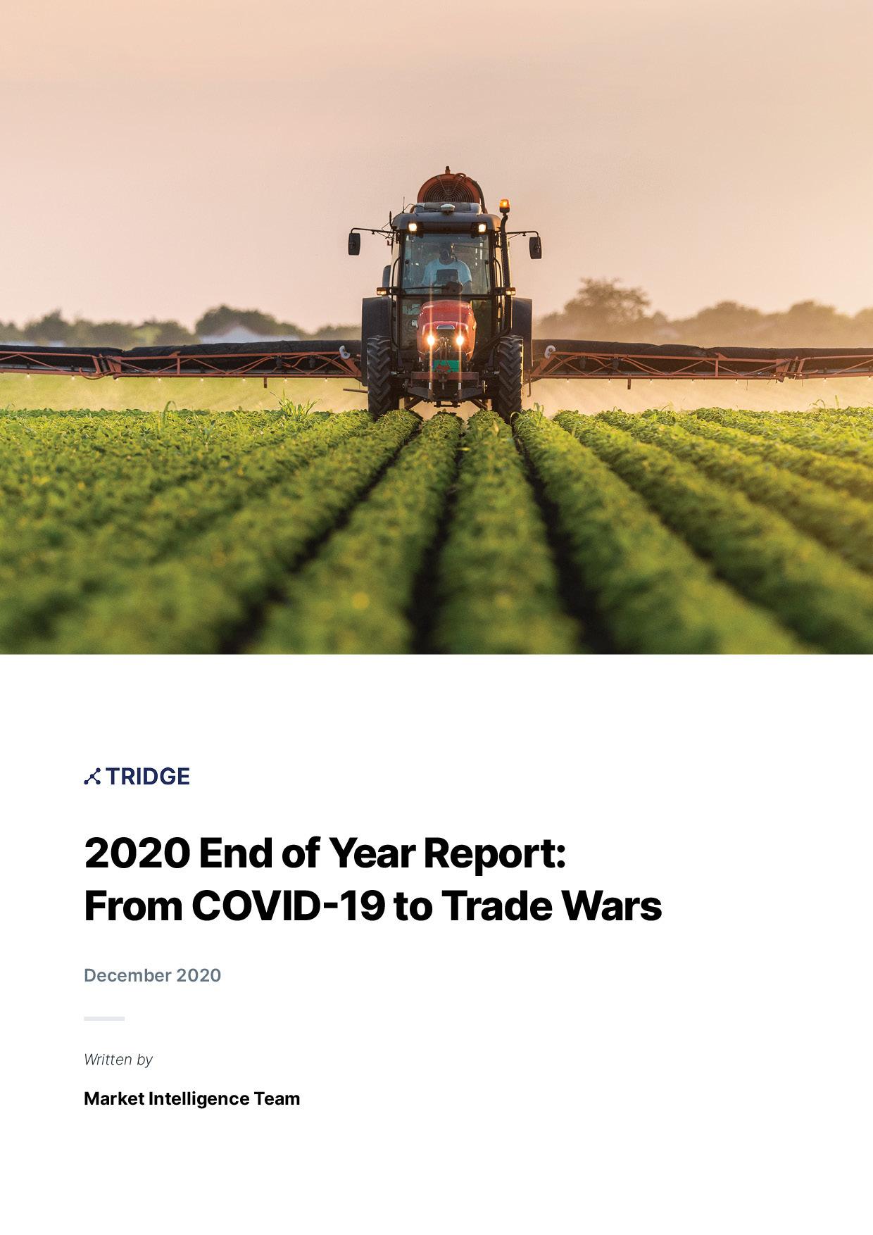 2020 End of Year Report: From COVID-19 to Trade Wars