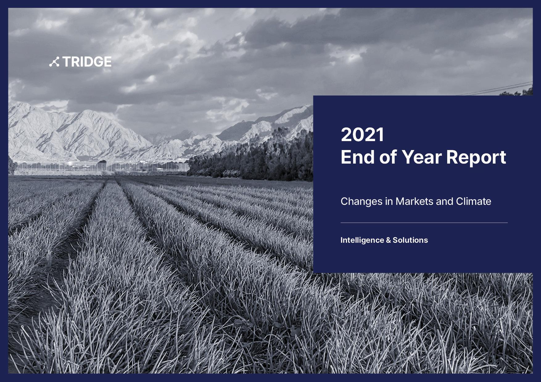 2021 End of Year Report - Changes in Markets and Climate