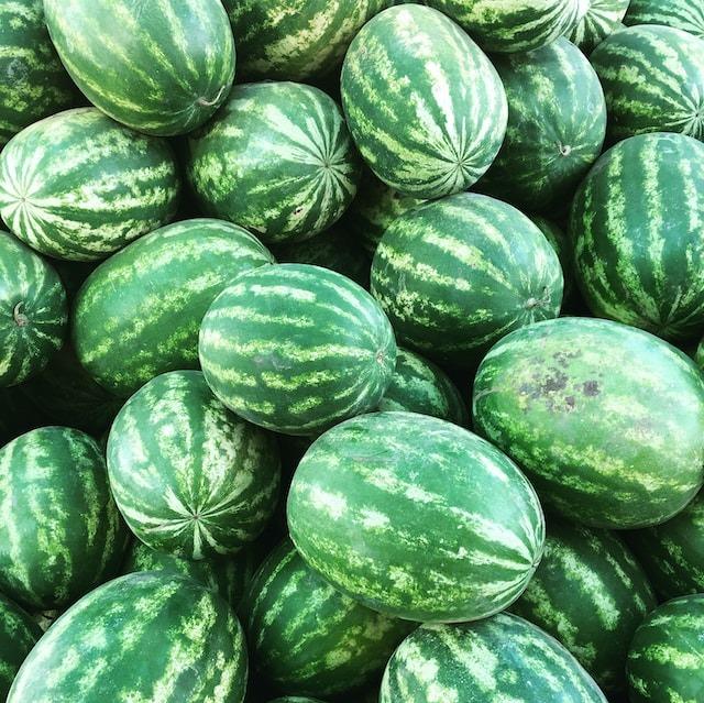 W13 Melon and Watermelon Update: ASAJA-Almería Doubles Watermelon Production Surface, US Watermelon Consumption Hits 16.9 Pounds in 2023, and Insufficient Sunlight Damages Gyeongnam Watermelon Crops