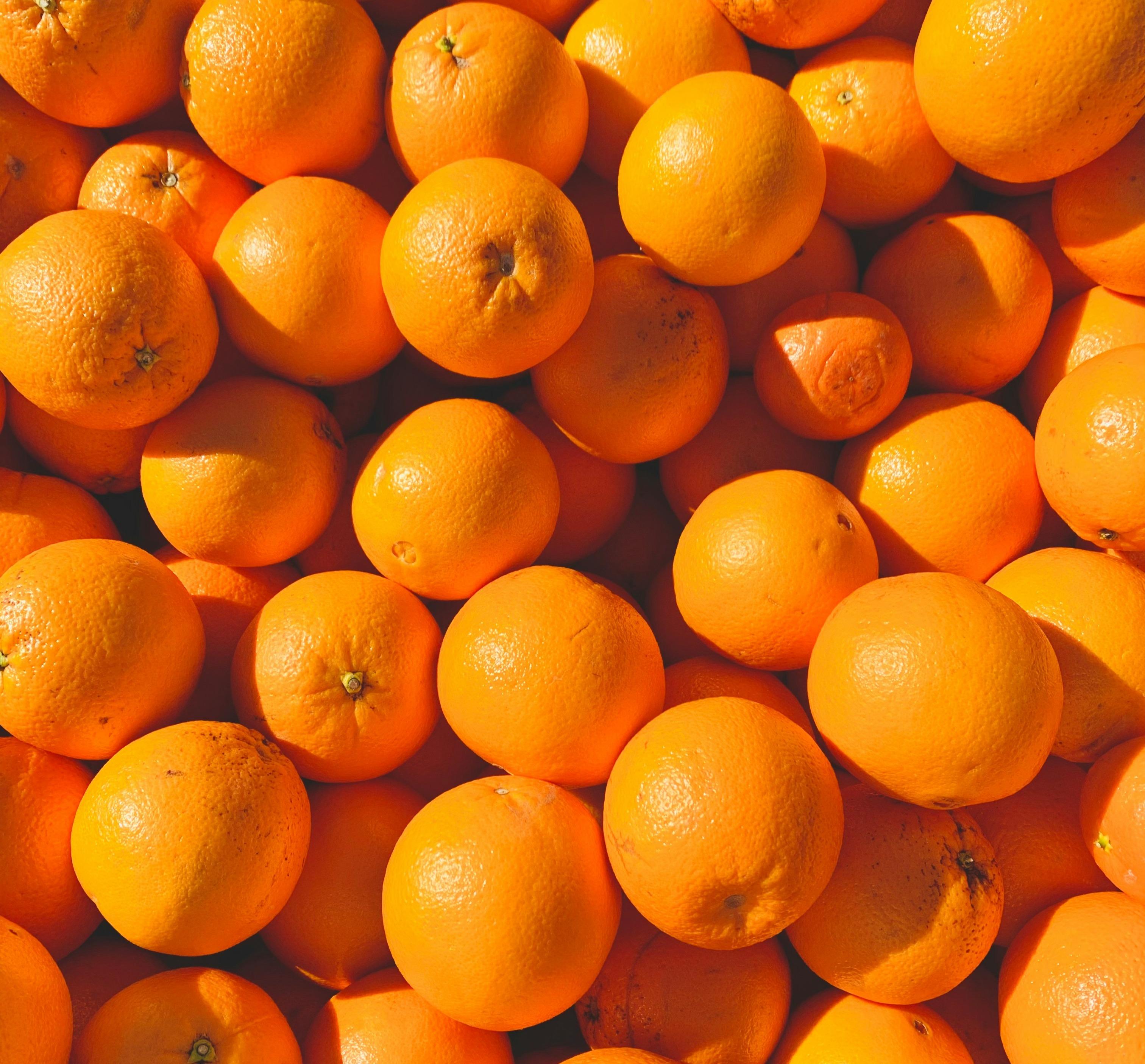 Brazil's Orange Production Drop Forecast for the 2024/25 Season and Global Market Implications