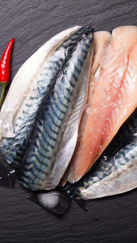 Norwegian Mackerel Guide