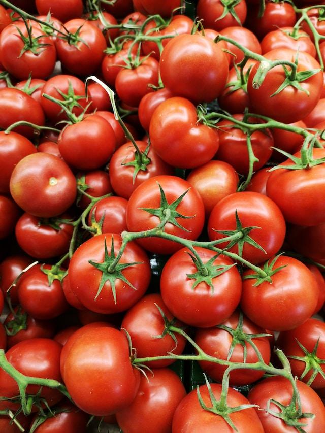 W12 Tomato Update: Morocco's Rise in UK Imports, Spanish Producers Face Potential Price Violation Concerns