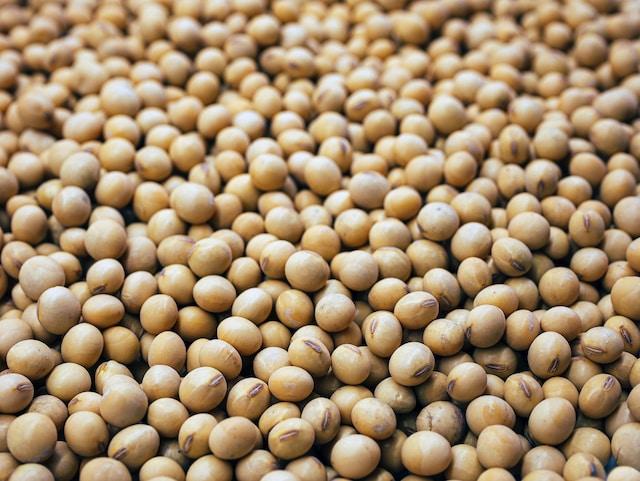 W32 2025: Soybean Weekly Update