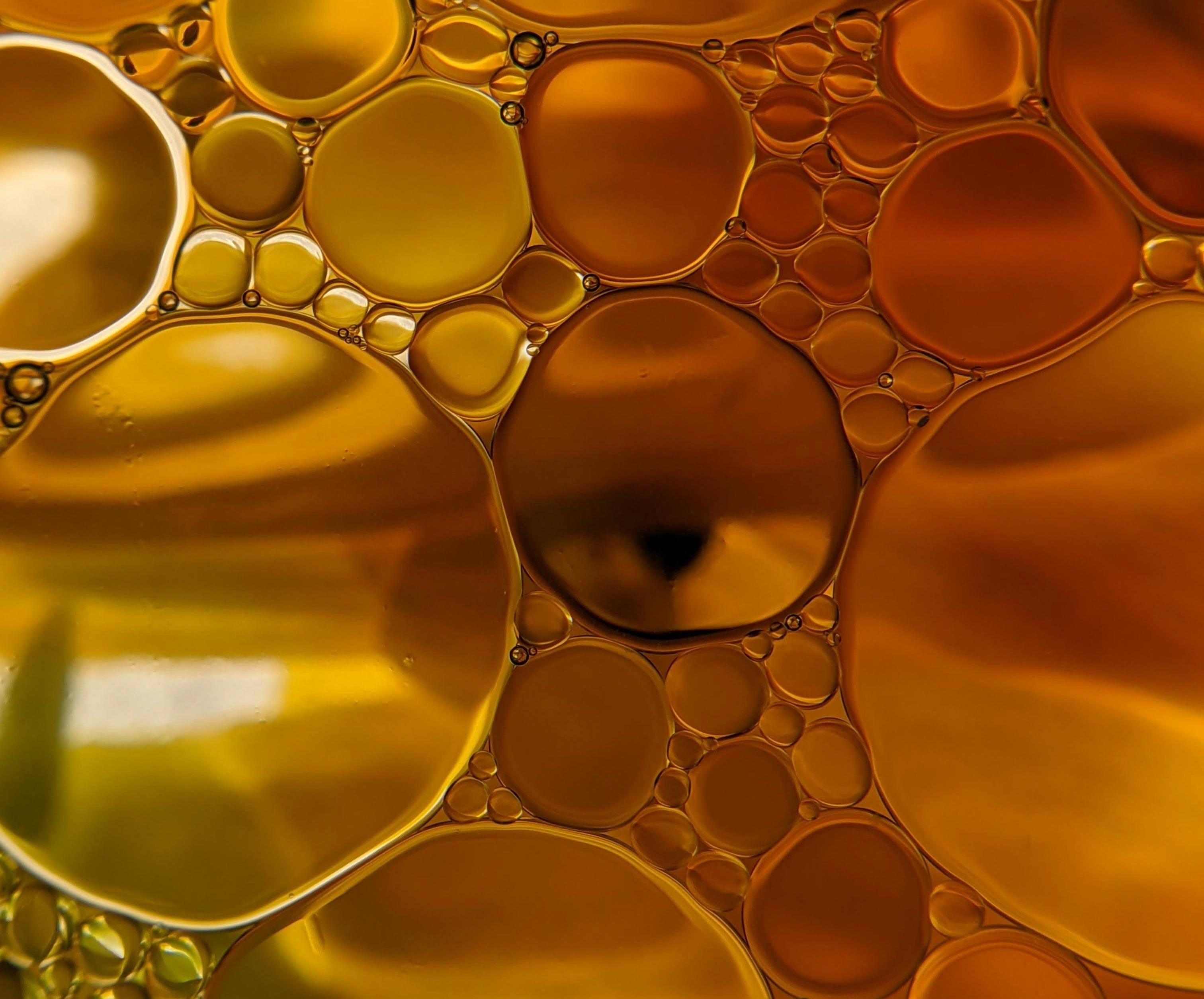 Growing Global Demand for Organic Vegetable Oils Due to Ongoing Industry Trends