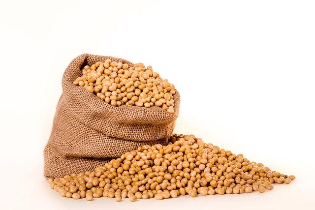 W15 2025: Soybean Oil Weekly Update