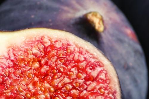 Future of Fig: Climate Change