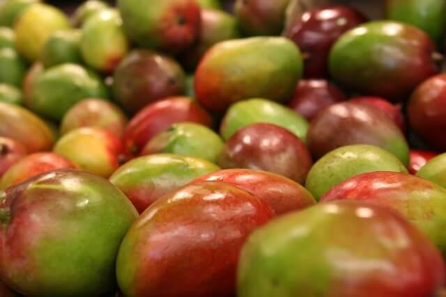 Falling US Mango Imports Keep Prices Under Pressure