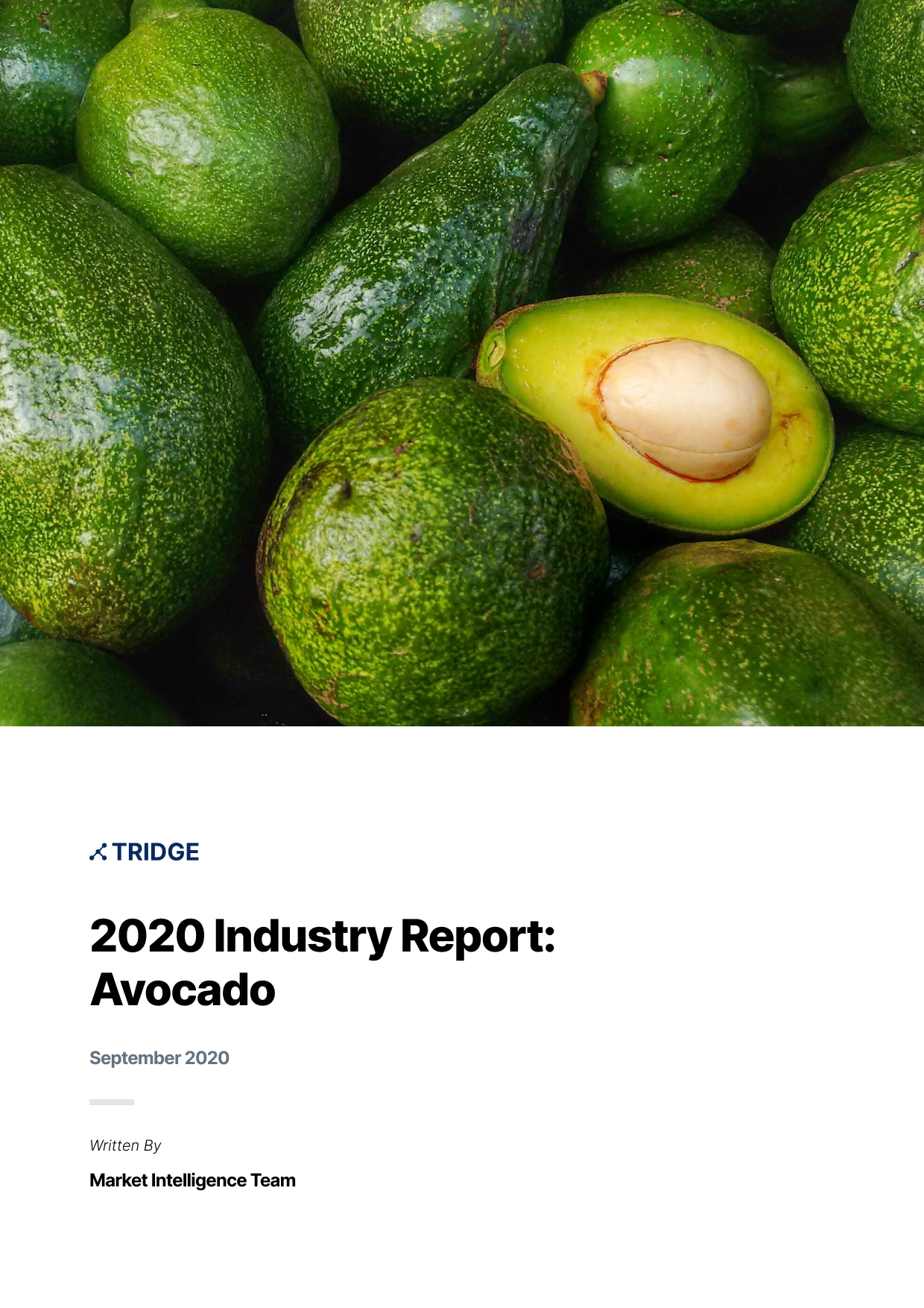 Avocado Market Report